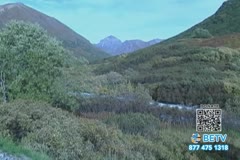 TV Content Image